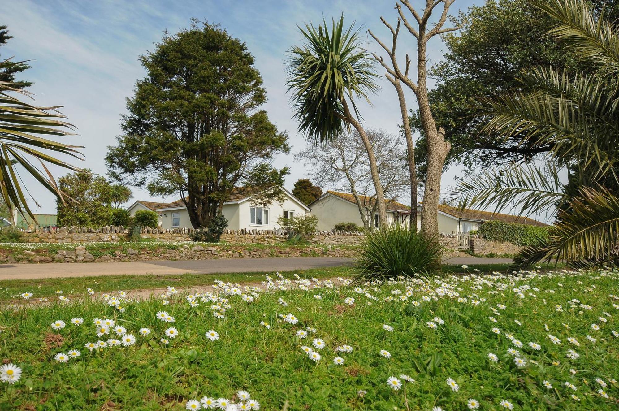 Tb Chalet T2 At Landscove Holiday Park Brixham Eksteriør bilde